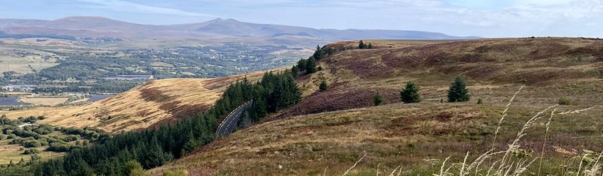 Wales-2026 (13)